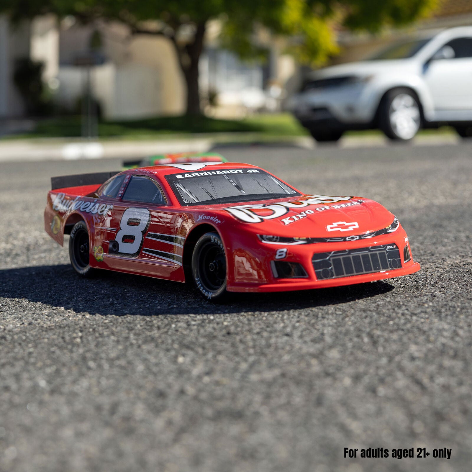 1/12 Losi Asphalt Late Model Dale Earnhardt Jr. No. 8 (Battery