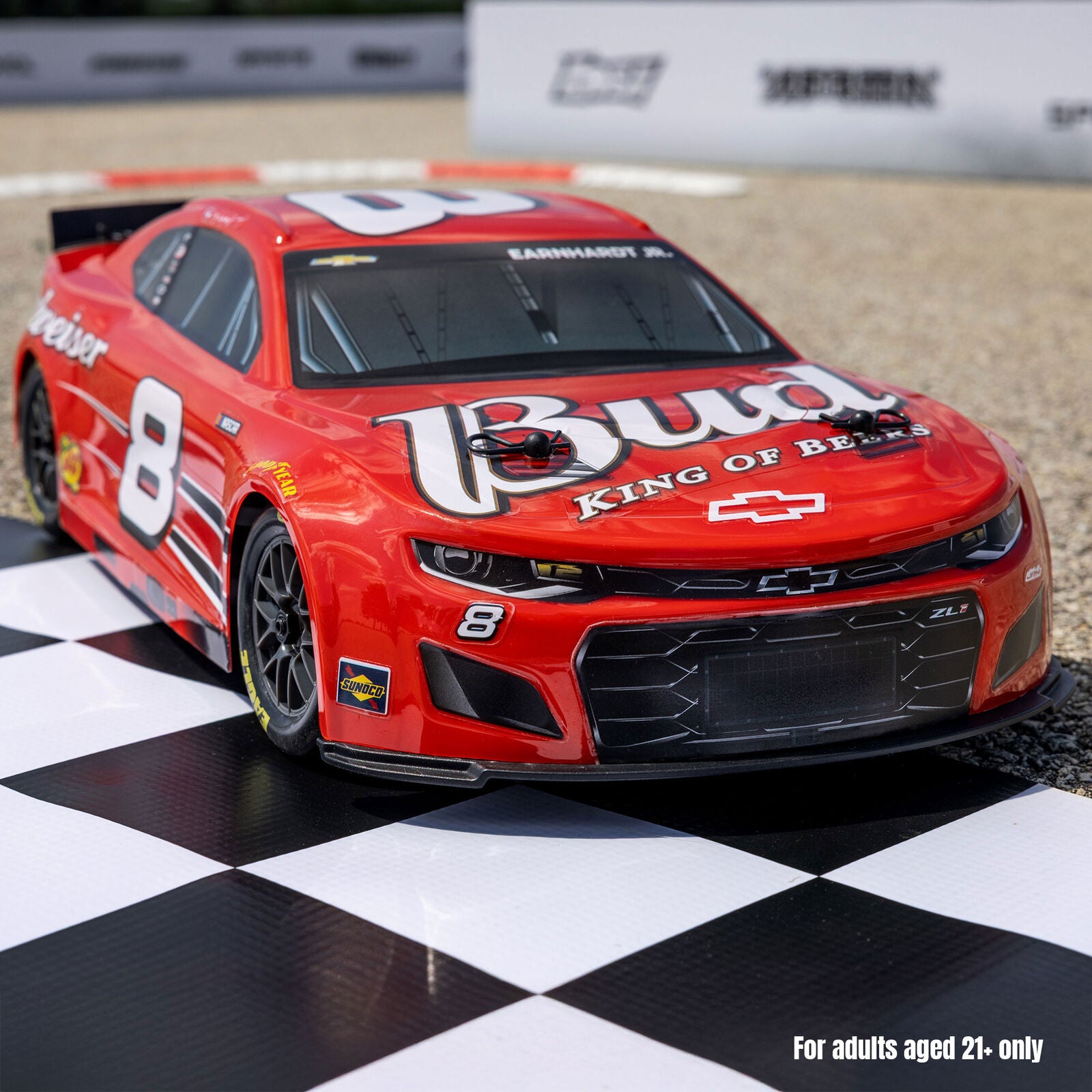 Losi 1/12 NASCAR RC Race Car Dale Earnhardt Jr. No. 8 Budweiser