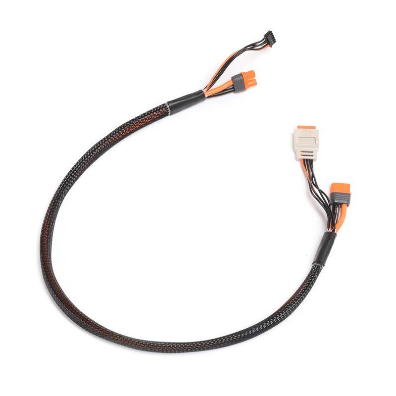 SpektruCharge lead w/Bal Ext. 24 inch IC3, 2-4Sm