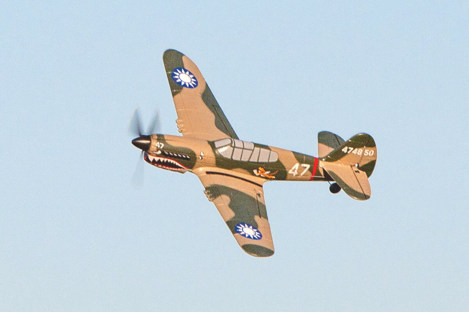 Curtiss P-40 Warhawk Micro RTF Airplane w/PASS System